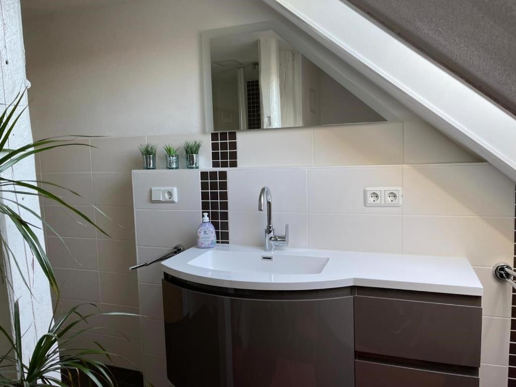 Ferienwohnung Kreft Thale Exterior photo